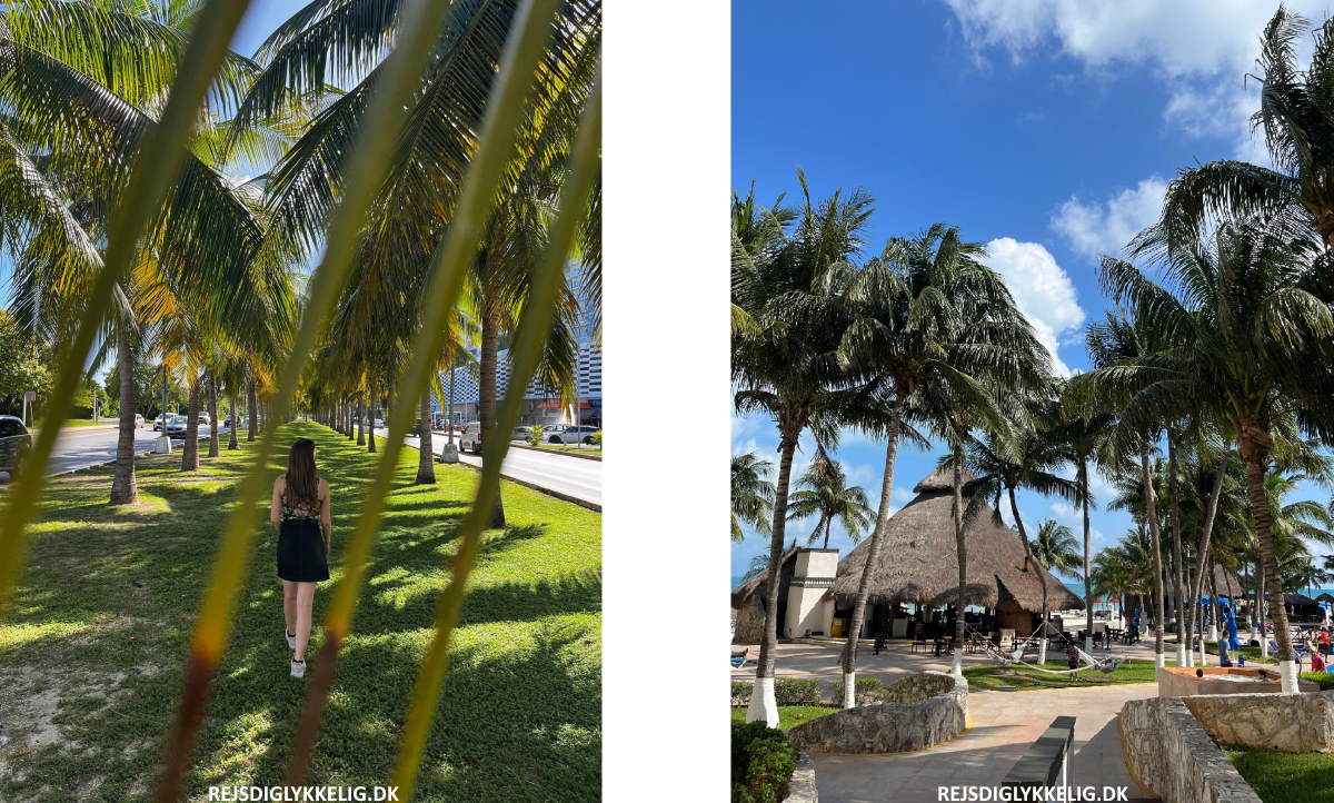 Seværdigheder og Oplevelser på Yucatan-halvøen - Cancun - Rejs Dig Lykkelig