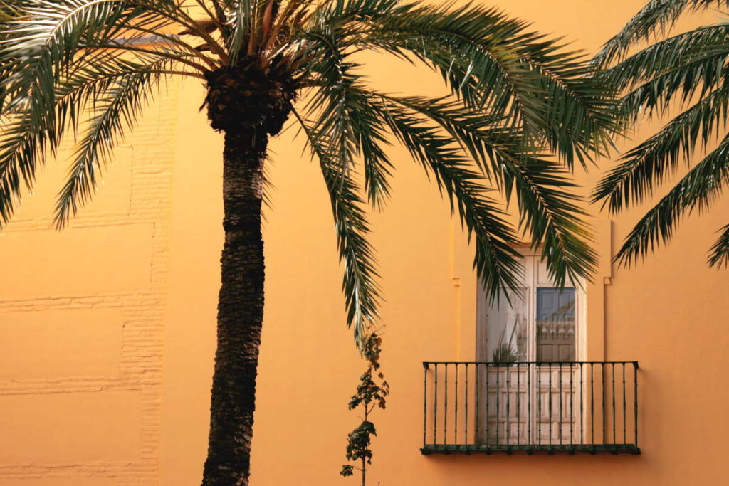 Vigtige ting du SKAL vide inden rejsen til Spanien - Spanien er et stort land - Rejs Dig Lykkelig