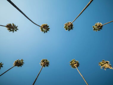Hvor skal man bo i Los Angeles - Farlige områder - Rejs Dig Lykkelig
