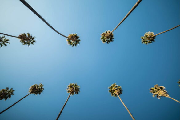 Hvor skal man bo i Los Angeles - Farlige områder - Rejs Dig Lykkelig