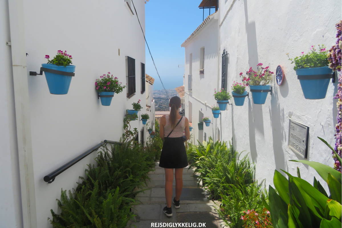 Seværdigheder og Oplevelser i Malaga - Dagsture - Mijas - Rejs Dig Lykkelig