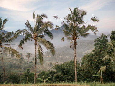 Hvor skal man bo på Bali - Rejs Dig Lykkelig