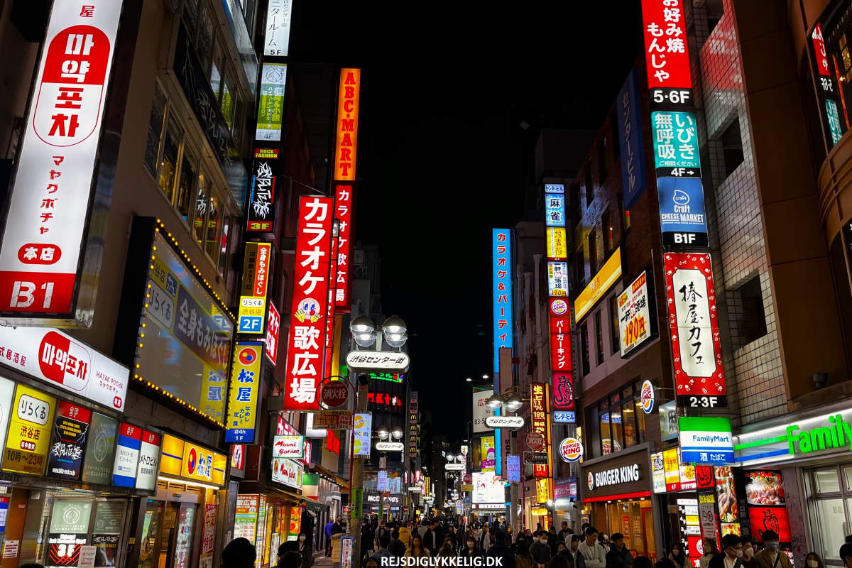 Fantastiske byer i Japan - Tokyo - Rejs Dig Lykkelig