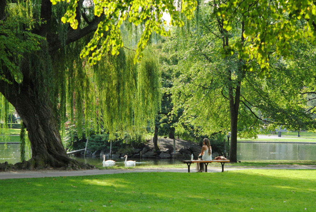 Public Garden - Rejs Dig Lykkelig