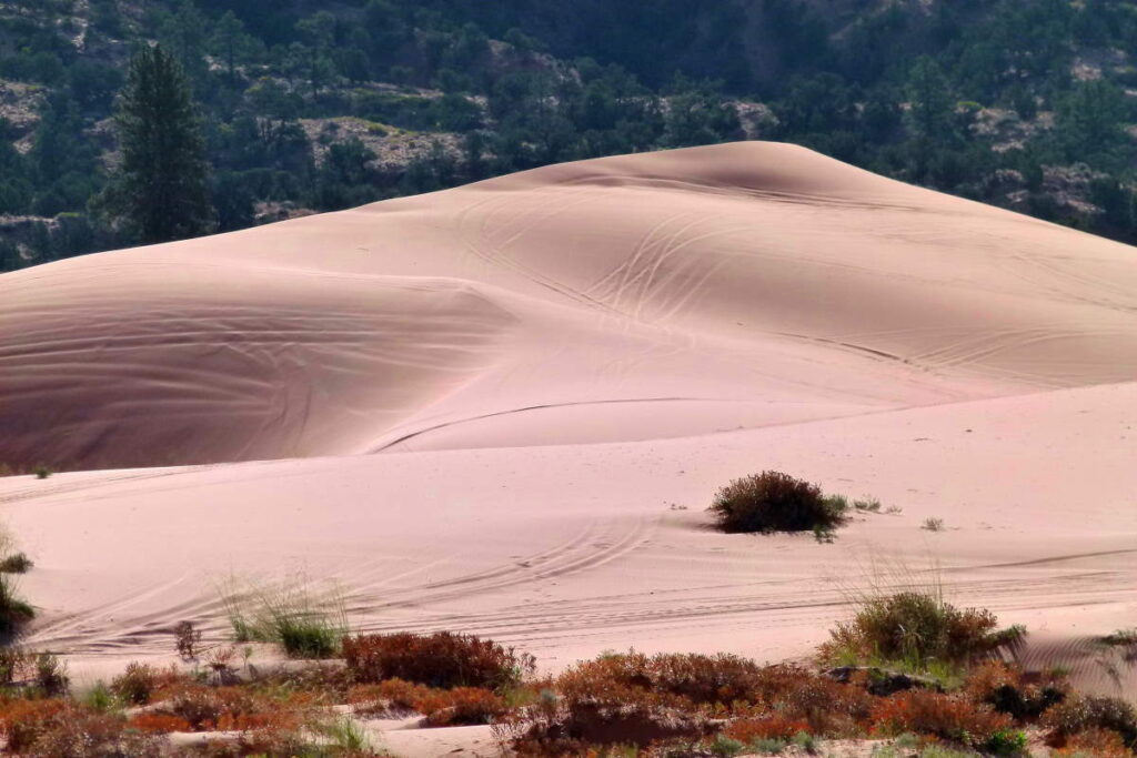 Coral Pink Sand Dunes State Park - Rejs Dig Lykkelig