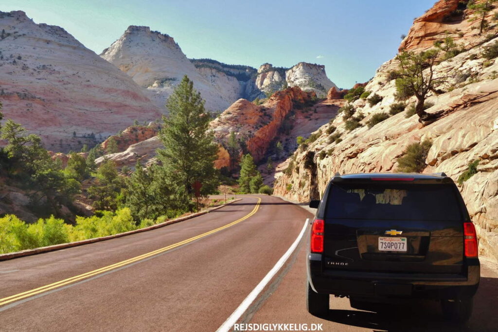 Seværdigheder og Oplevelser i Utah - Zion National Park - Rejs Dig Lykkelig