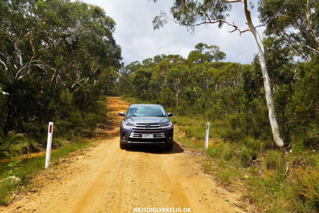 Rejseforslag; Road Trip i det Sydøstlige Australien - Blue Mountains - Rejs Dig Lykkelig