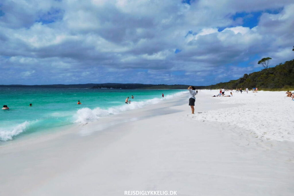 Rejseforslag; Road Trip i det Sydøstlige Australien - Jervis Bay - Rejs Dig Lykkelig