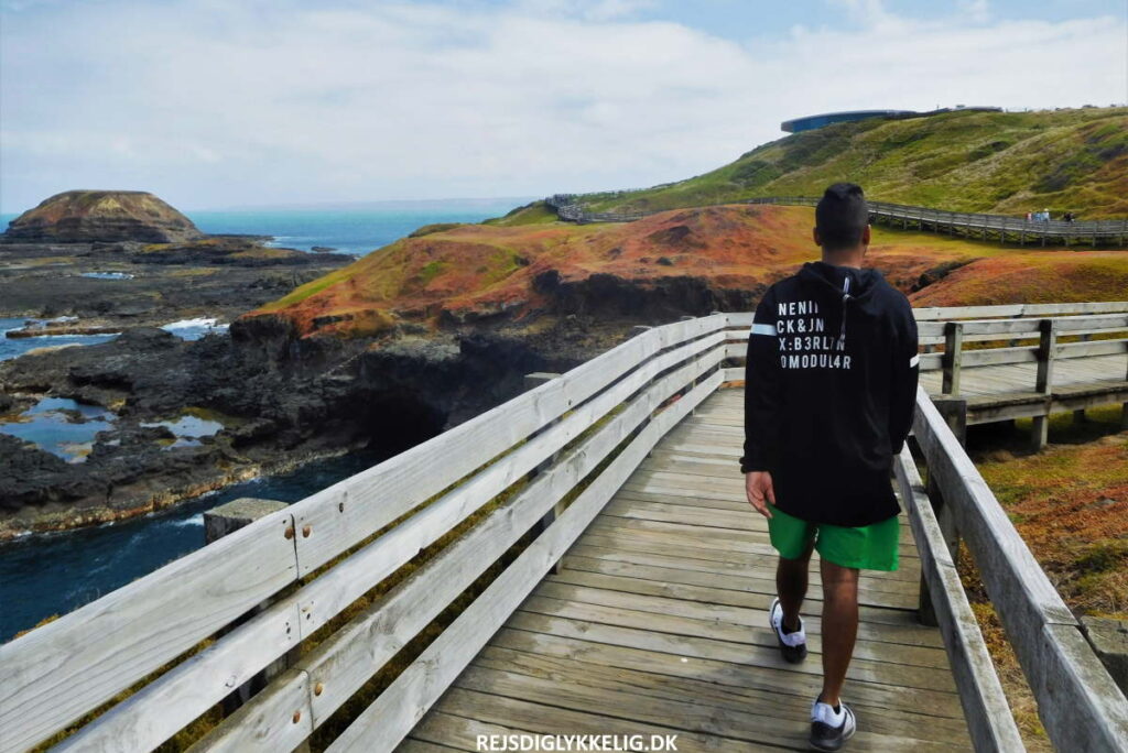 Rejseforslag; Road Trip i det Sydøstlige Australien - Phillip Island - Rejs Dig Lykkelig