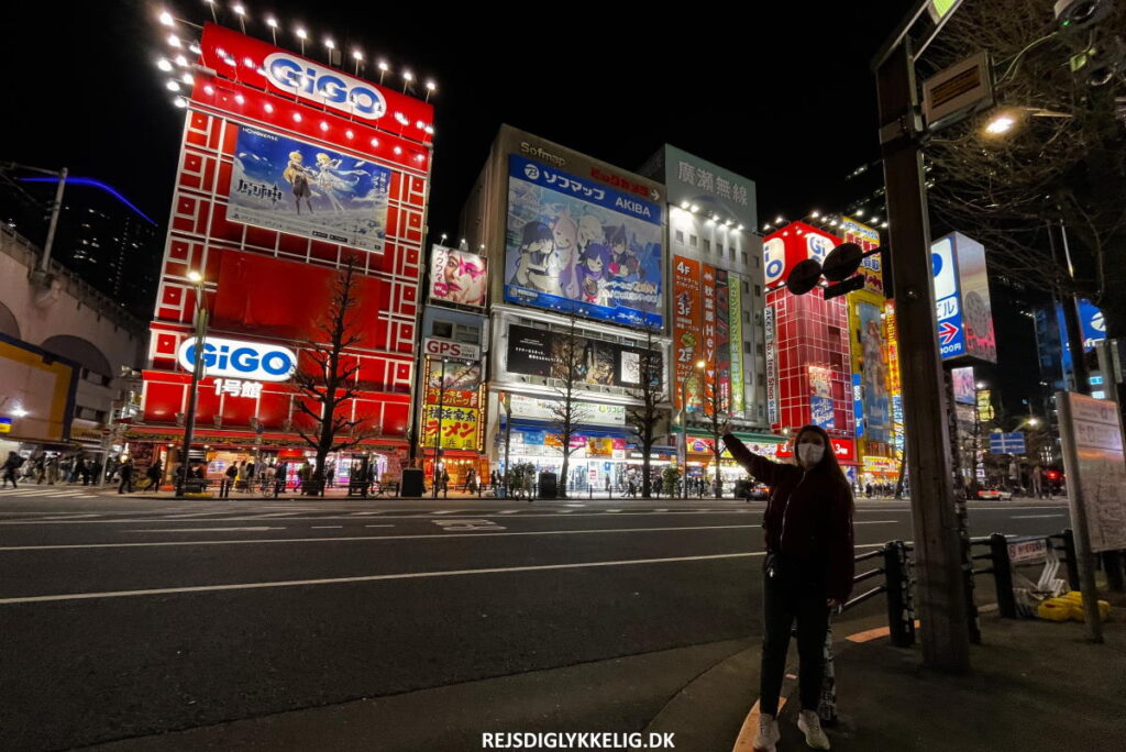 Seværdigheder og Oplevelser i Tokyo - Akihabara - Rejs Dig Lykkelig