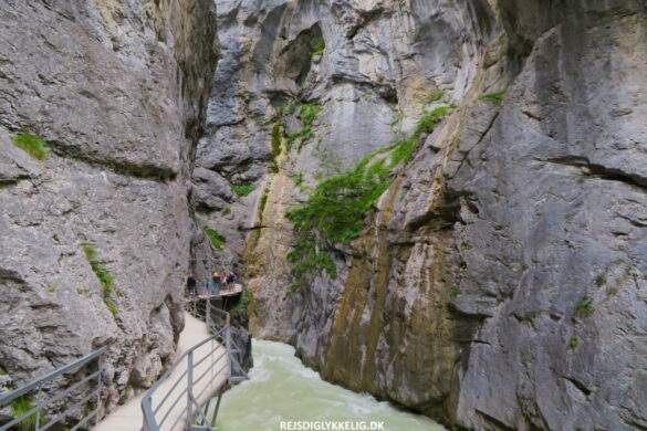 Den smukke Aareschlucht i Schweiz - Praktiske Tips - Rejs Dig Lykkelig