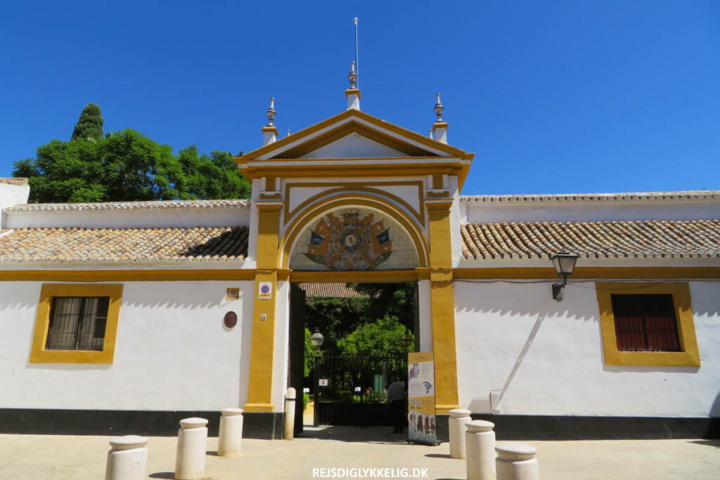 Seværdigheder og Oplevelser i Sevilla - Palacio de las Dueñas - Rejs Dig Lykkelig