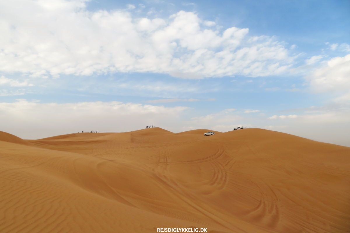 Ørkensafari i Dubai - Rejs Dig Lykkelig