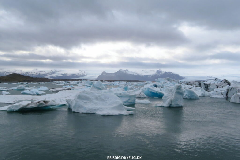 Vores 7-dages Road Trip på Islands Ringvej - Jökulsárlón Gletsjerlagune - Rejs Dig Lykkelig