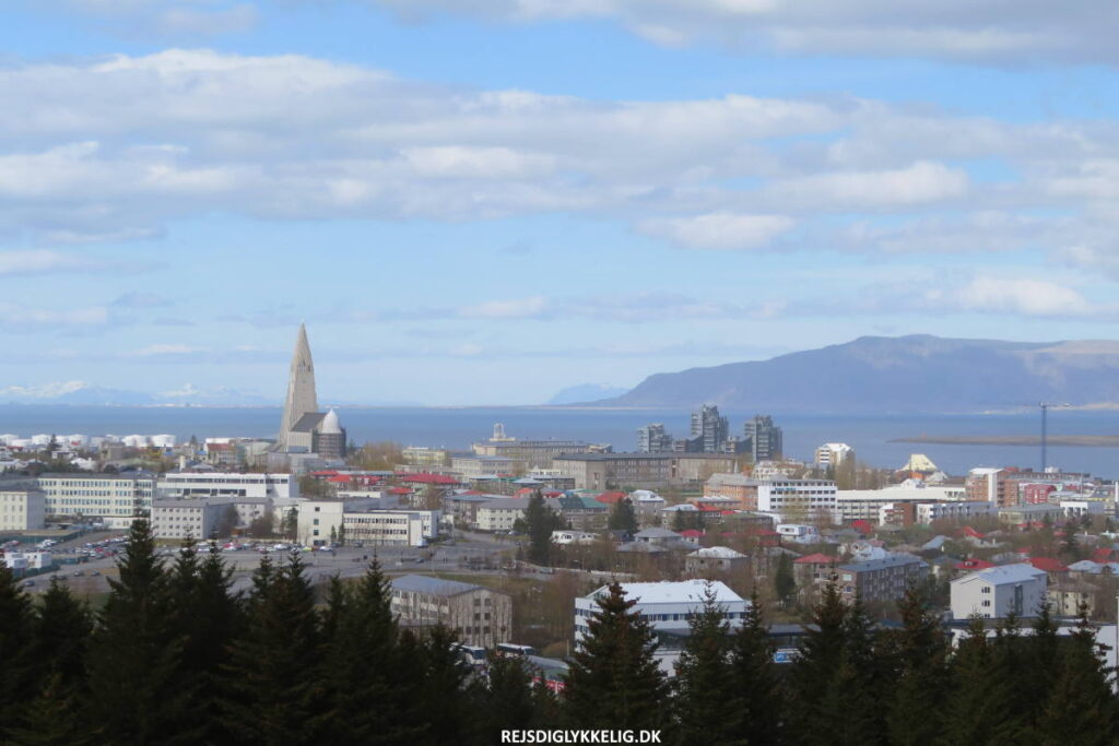 Vores 7-dages Road Trip på Islands Ringvej - Reykjavik - Rejs Dig Lykkelig Vores 7-dages Road Trip på Islands Ringvej - Reykjavik - Rejs Dig Lykkelig