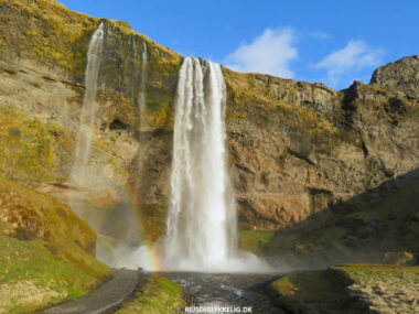 Flotte Vandfald i Island - Seljalandsfoss - Rejs Dig Lykkelig