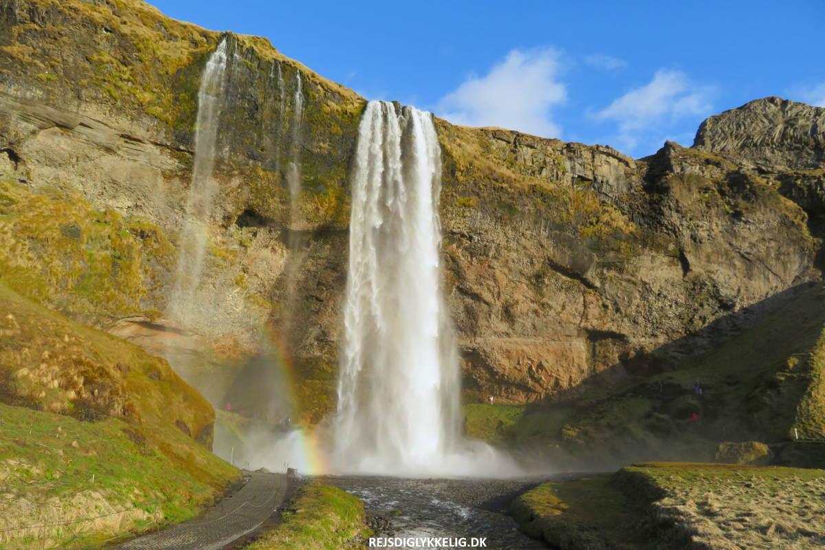 Flotte Vandfald i Island - Seljalandsfoss - Rejs Dig Lykkelig