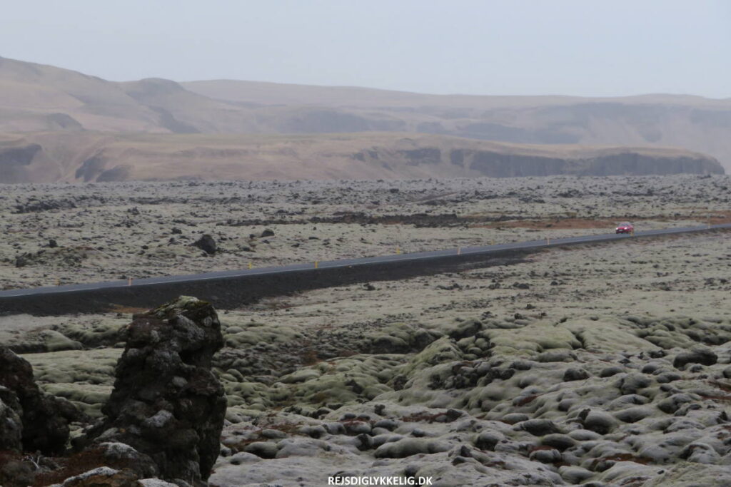 Seværdigheder og Oplevelser i Island - Eldhraun - Rejs Dig Lykkelig Eldhraun - Rejs Dig Lykkelig
