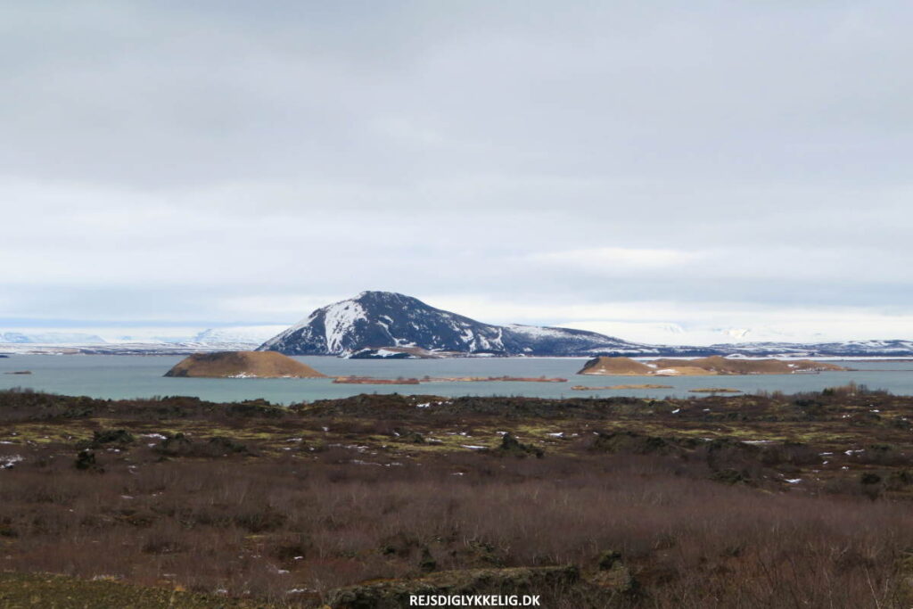 Seværdigheder og Oplevelser i Island - Myvatn - Rejs Dig Lykkelig Myvatn - Rejs Dig Lykkelig