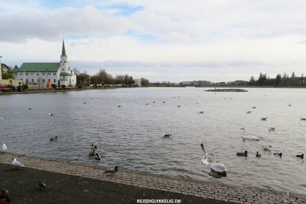 Seværdigheder og Oplevelser i Reykjavik - Tjörnin - Rejs Dig Lykkelig