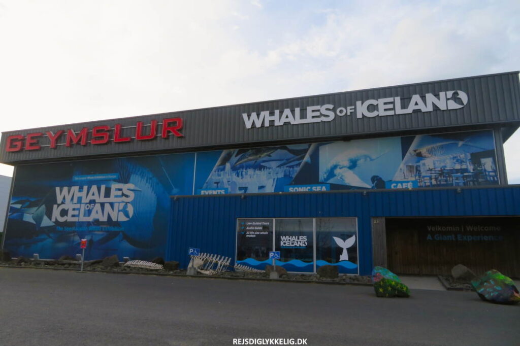 Whales of Iceland - Rejs Dig Lykkelig