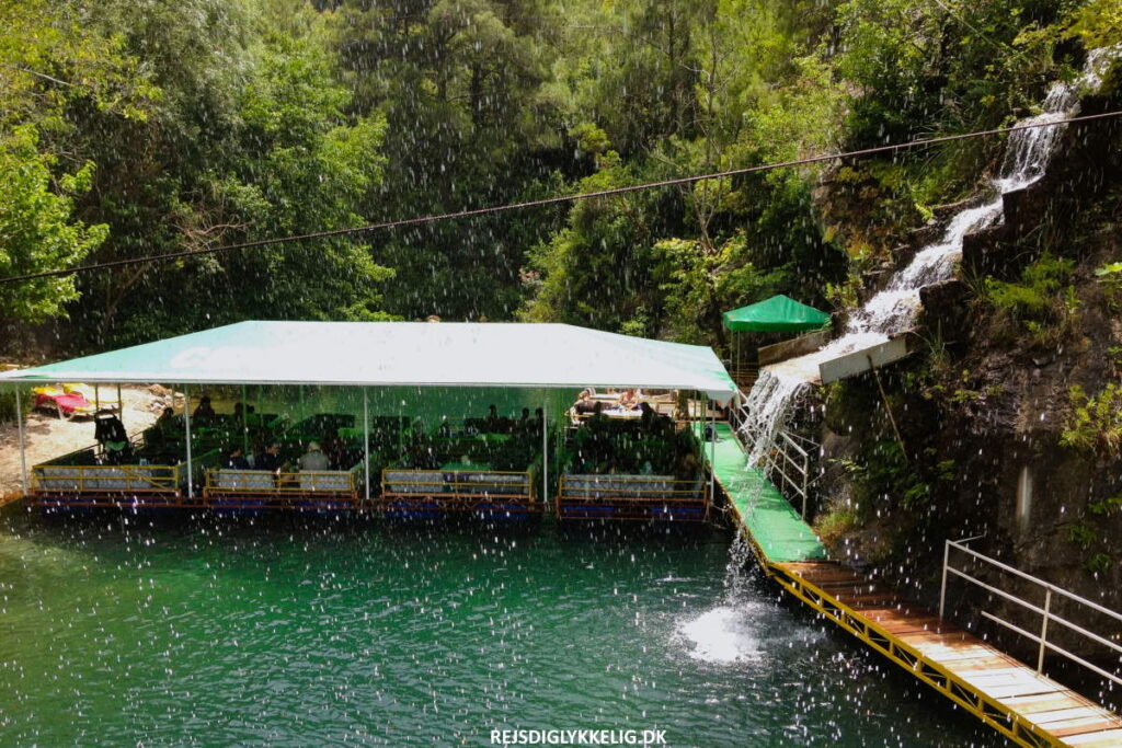 Dim Cay - Rejs Dig Lykkelig