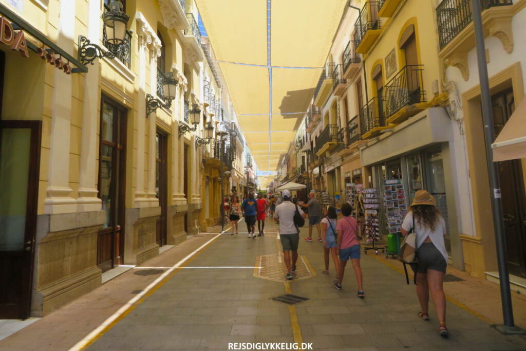 Carrera Espinel - Rejs Dig Lykkelig