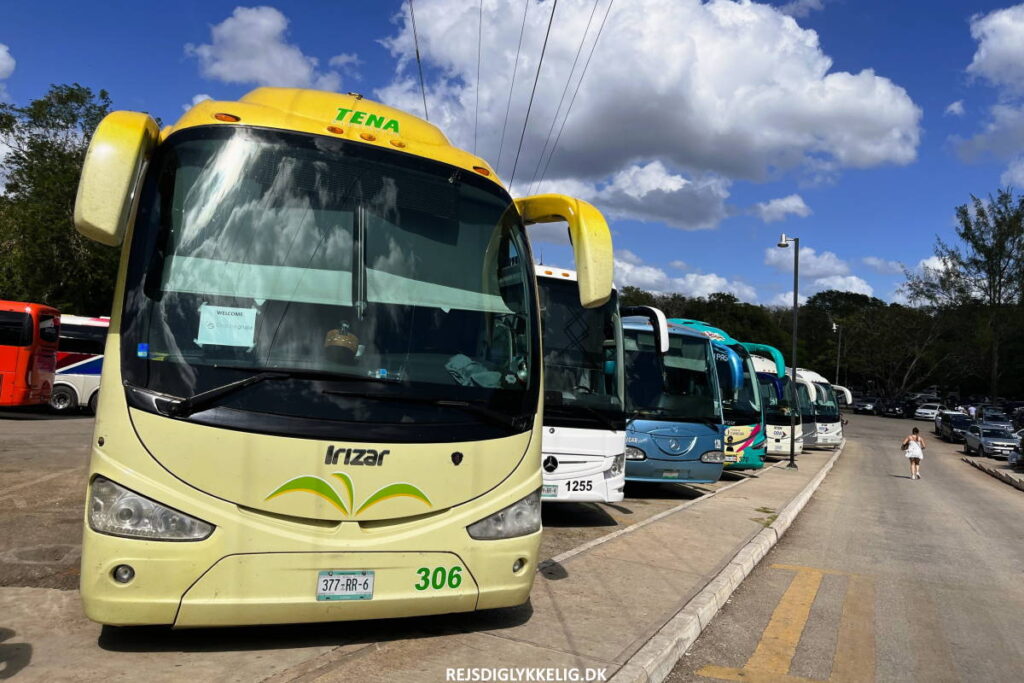 Rejseguide til Yucatan-halvøen i Mexico - Busser - Rejs Dig Lykkelig Rejseguide til Yucatan-halvøen i Mexico - Busser - Rejs Dig Lykkelig