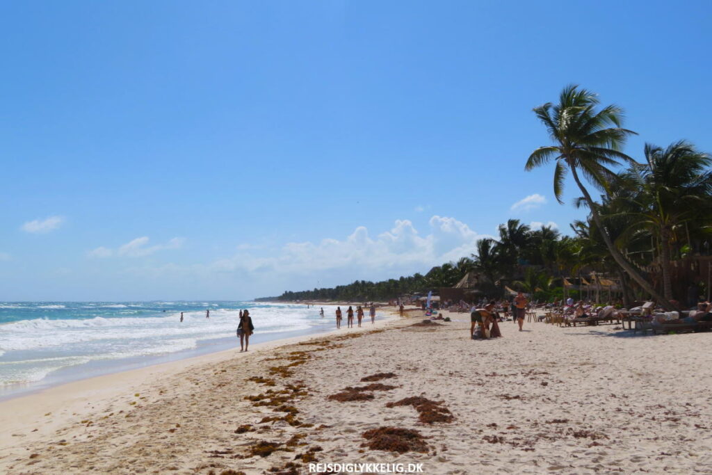 Rejseguide til Yucatan-halvøen i Mexico - Hvad skal man opleve - Rejs Dig Lykkelig Rejseguide til Yucatan-halvøen i Mexico - Hvad skal man opleve - Rejs Dig Lykkelig
