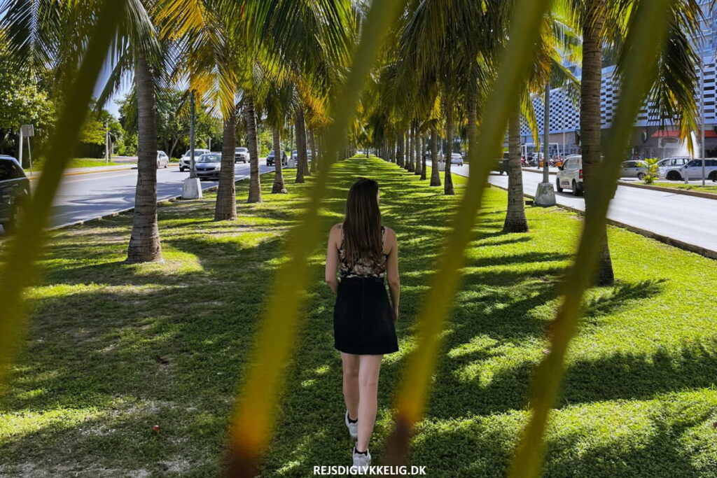 Rejseguide til Yucatan-halvøen i Mexico - Hvordan er priserne - Rejs Dig Lykkelig Hvordan er priserne - Rejs Dig Lykkelig