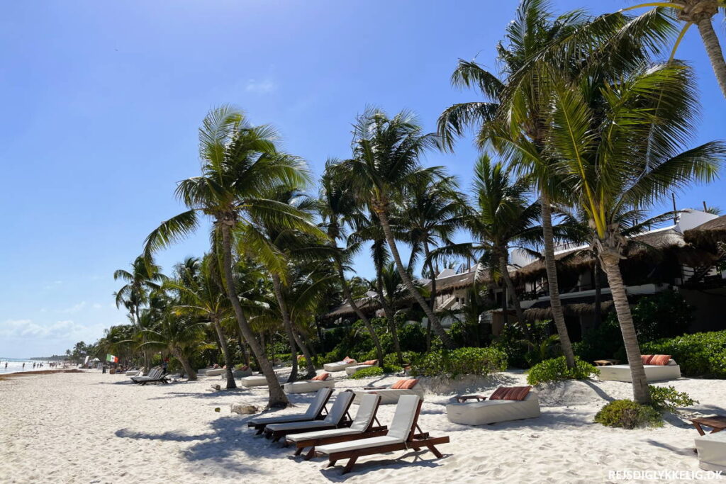 Rejseguide til Yucatan-halvøen i Mexico - Rejseblog - Rejs Dig Lykkelig Rejseguide til Yucatan-halvøen i Mexico - Rejseblog - Rejs Dig Lykkelig