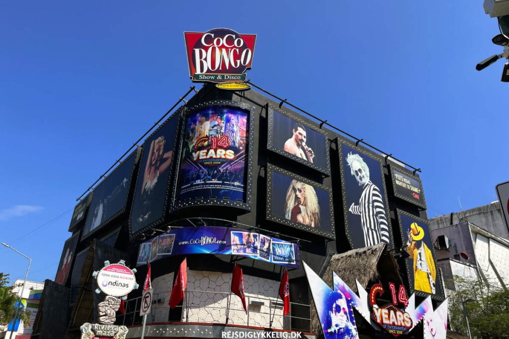 Fest i nattelivet - Rejs Dig Lykkelig