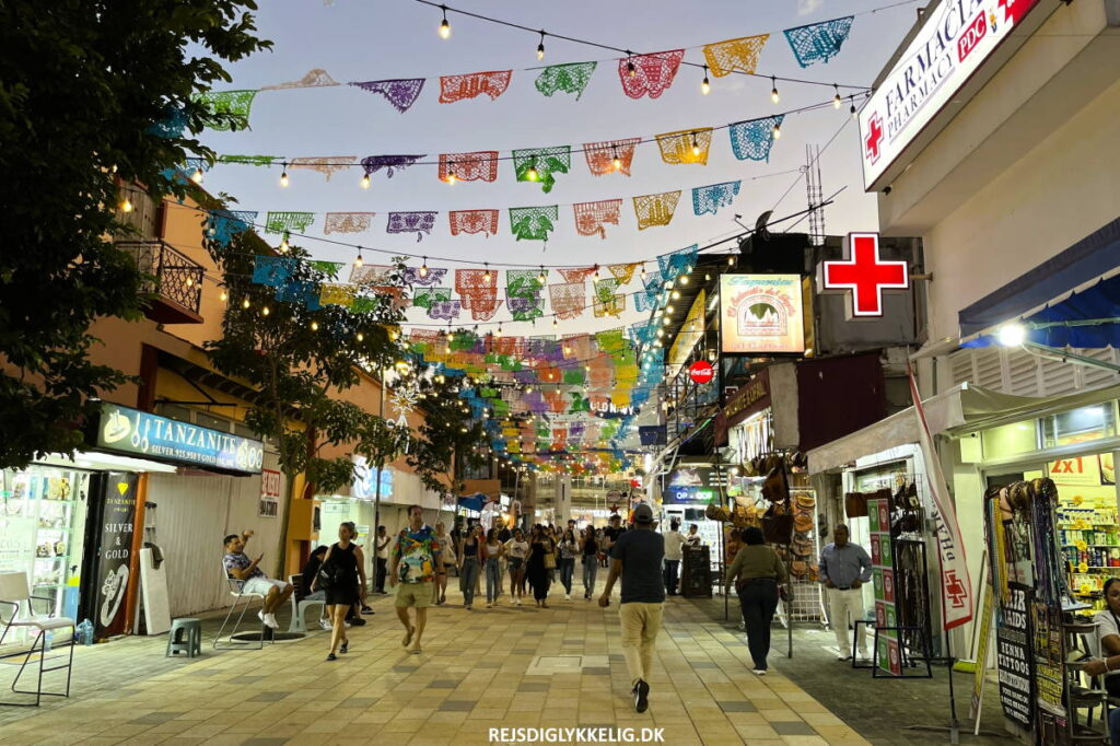 Quinta Avenida - Rejs Dig Lykkelig