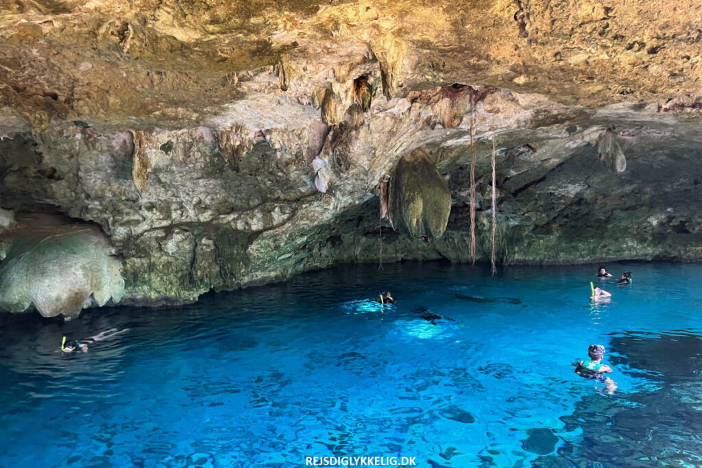 Seværdigheder og Oplevelser i Playa del Carmen - Svøm i cenoter - Rejs Dig Lykkelig