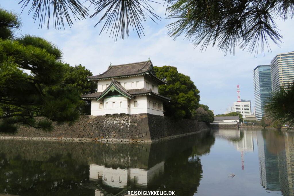 Tjekliste fra vores første jordomrejse - Få nogle til at passe huset - Rejs Dig Lykkelig