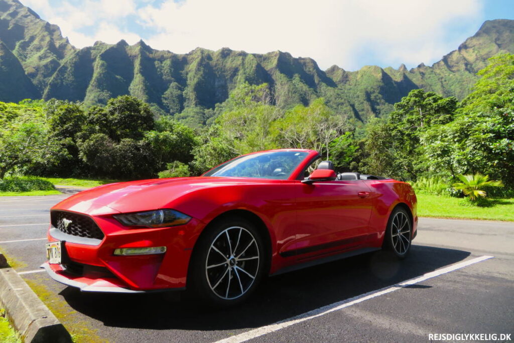 Undersøge transport i landene - Rejs Dig Lykkelig