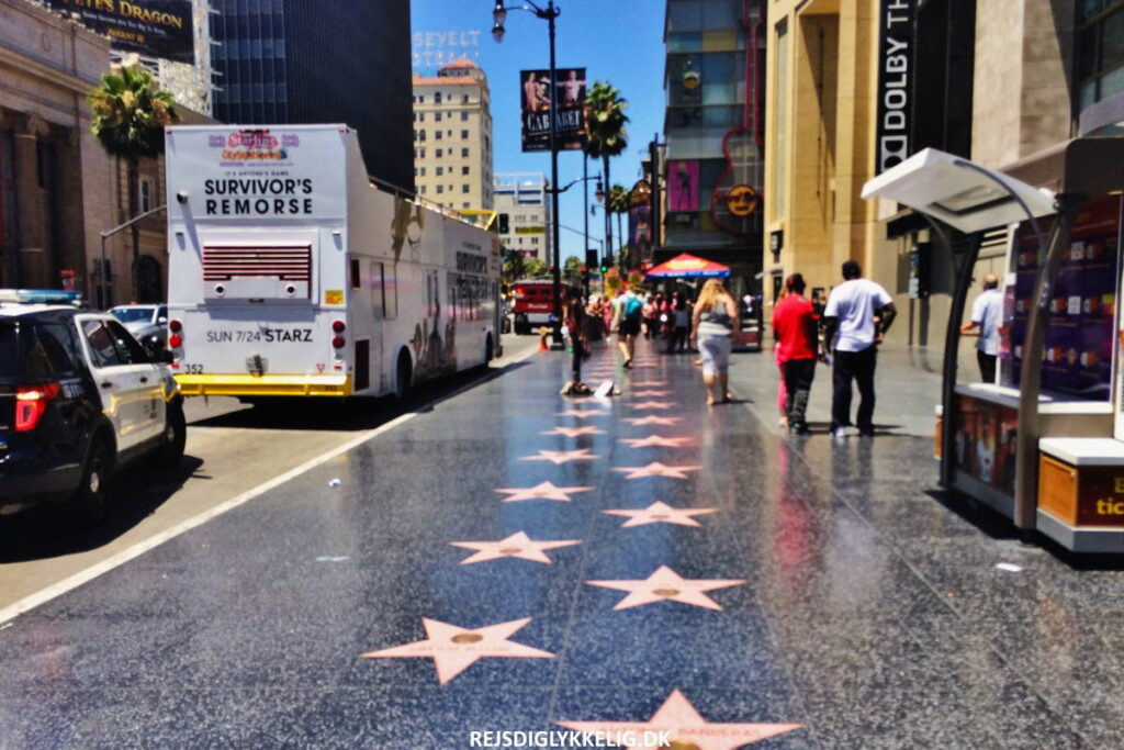 Vinewood aka. Hollywood - Rejs Dig Lykkelig