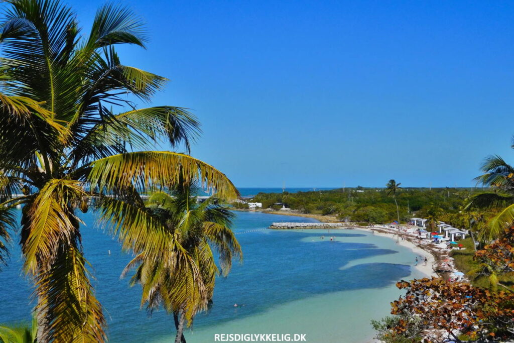 Kombinationsrejse til New York og Florida - Florida - Rejs Dig Lykkelig