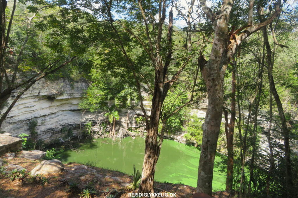 Den hellige cenote - Rejs Dig Lykkelig