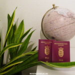 Er dit pas udløbet kort inden afrejse - Rejs Dig Lykkelig