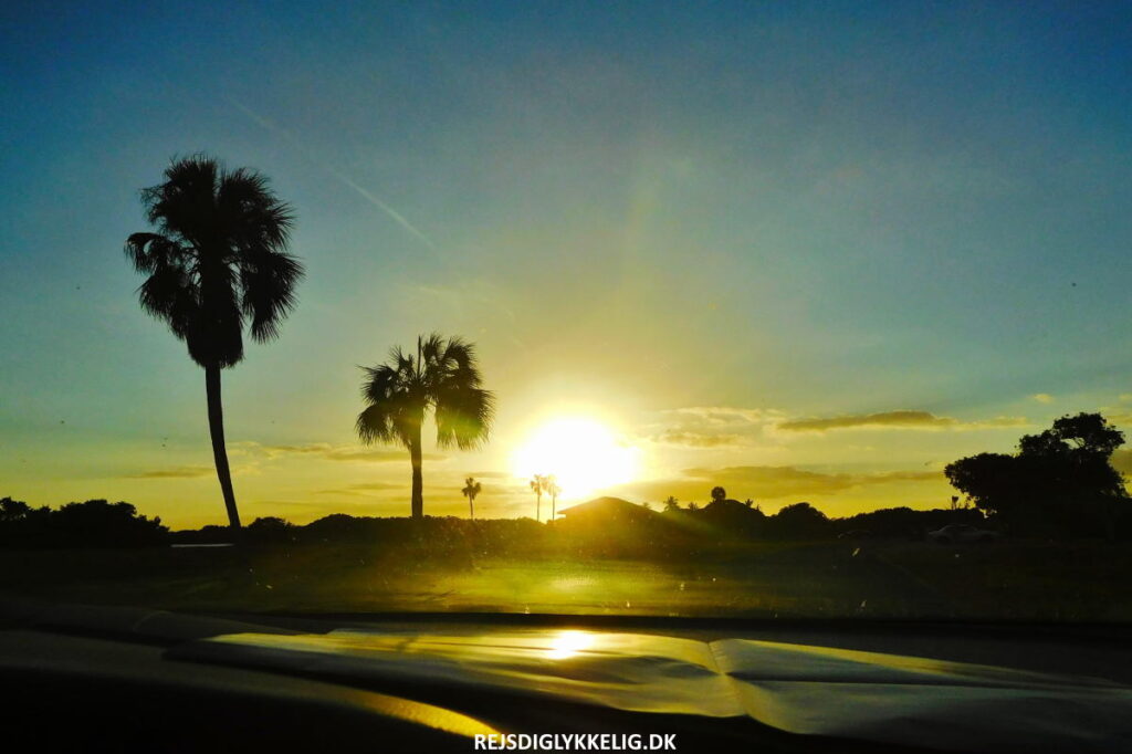 Guide til Everglades National Park - Bedste besøgstidspunkt - Rejs Dig Lykkelig Guide til Everglades National Park - Bedste besøgstidspunkt - Rejs Dig Lykkelig