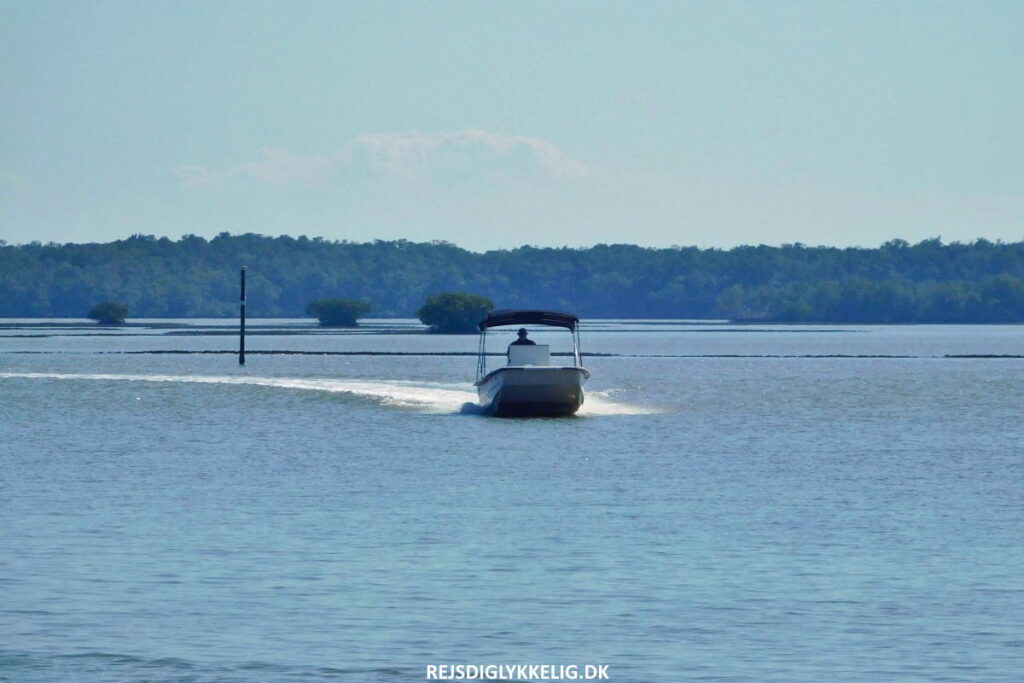 Guide til Everglades National Park - Kom rundt - Rejs Dig Lykkelig Kom rundt - Rejs Dig Lykkelig