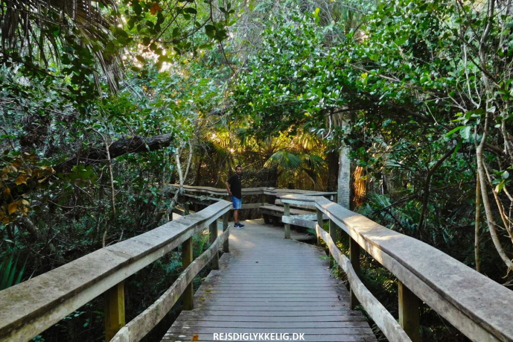 Guide til Everglades National Park - Pa-hay-okee Trail - Rejs Dig Lykkelig Pa-hay-okee Trail - Rejs Dig Lykkelig