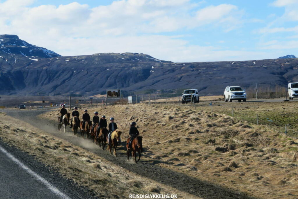 road trip - Rejs Dig Lykkelig