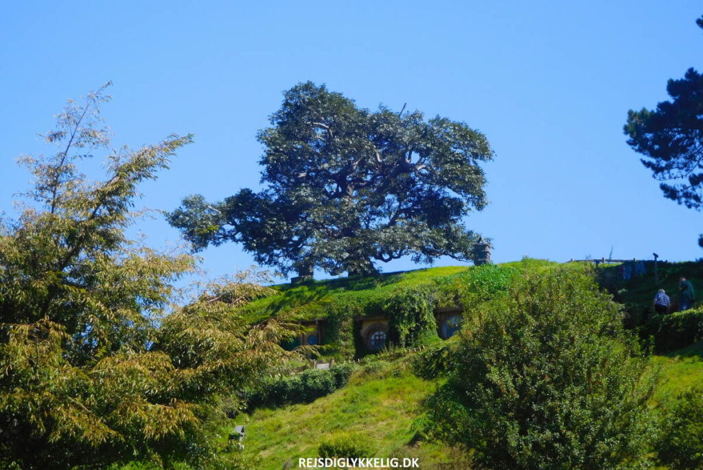 Guide til Hobbiton Movie Set - Åbningstider og besøgstidspunkt - Rejs Dig Lykkelig
