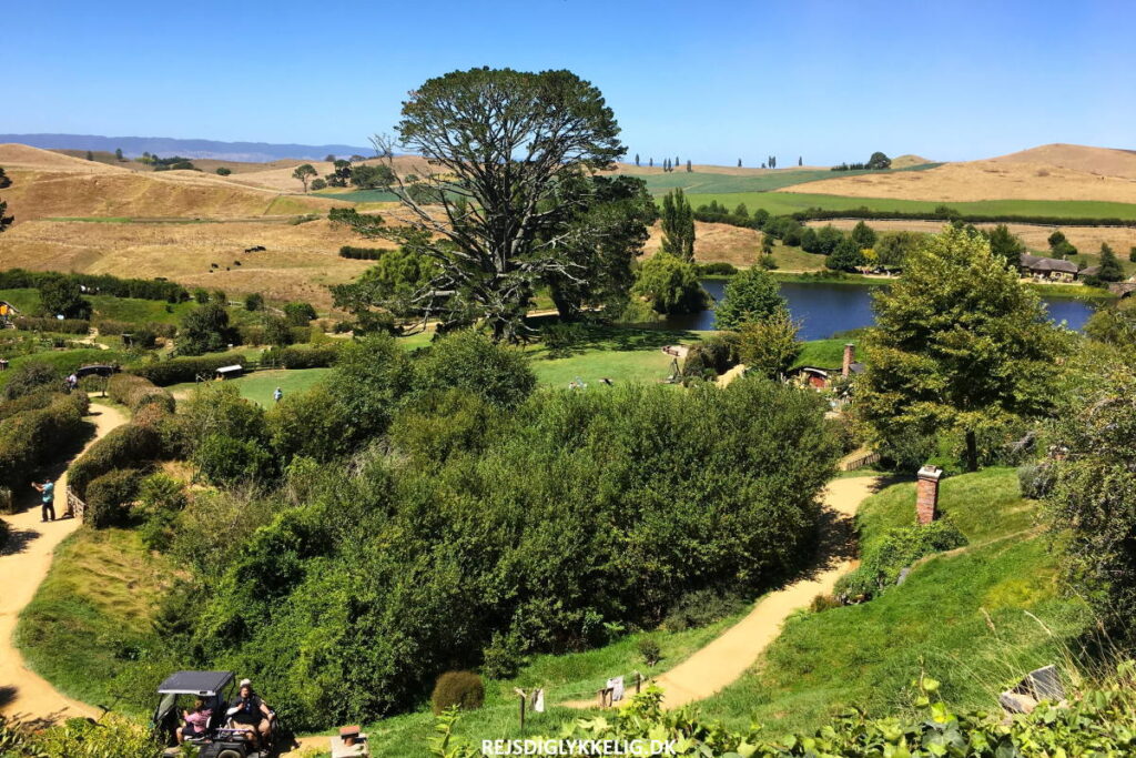 Guide til Hobbiton Movie Set - De bedste fotospots - Rejs Dig Lykkelig