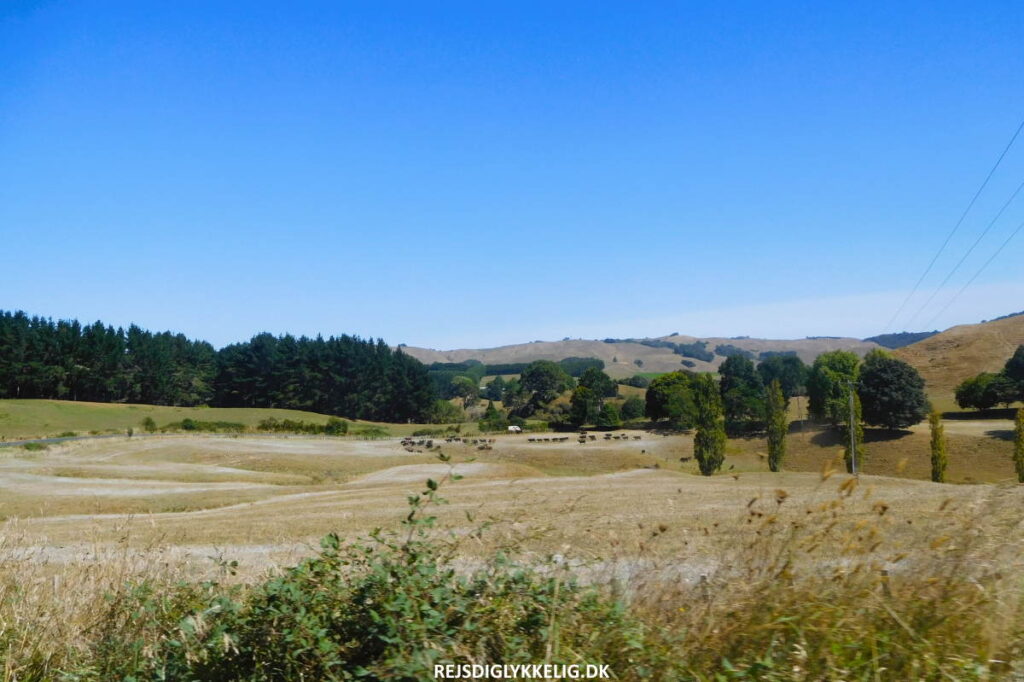 Sådan kommer du dertil - Rejs Dig Lykkelig