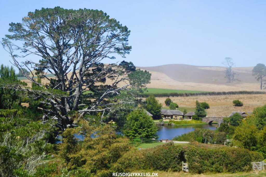 Guide til Hobbiton Movie Set i NZ - Rejs Dig Lykkelig