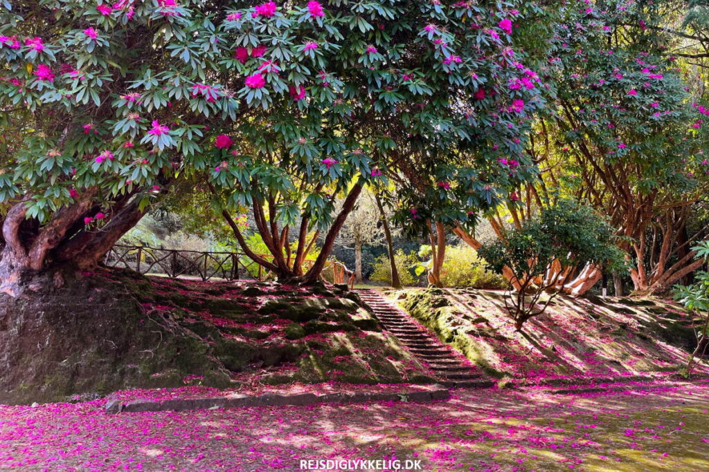 Det bedste rejsetidspunkt - Rejs Dig Lykkelig