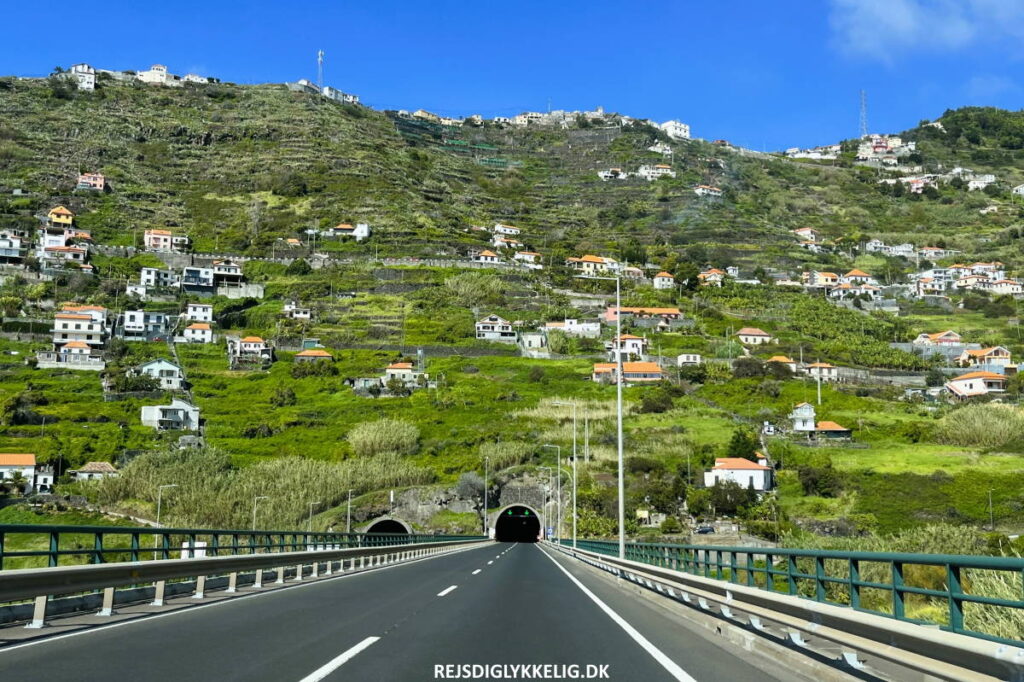 Rejseguide til Madeira - Hvordan kommer man rundt på øen - Rejs Dig Lykkelig